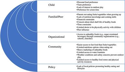 Listening to the community: identifying obesity prevention strategies for rural preschool-aged children